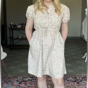 J Crew Dress